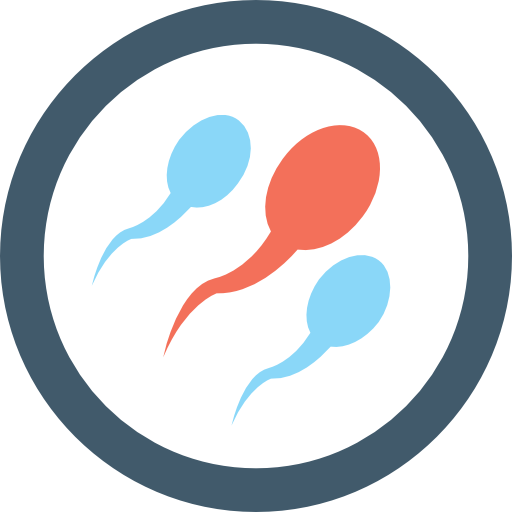 Concepto logo