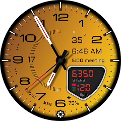 D355 Watch Face