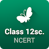 NCERT Solutions for Class 12 icon