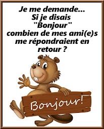 Bonjour, Bonne Journée & Bonne Nuit