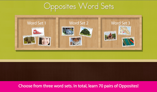 Montessori Language- Opposites