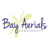 Bay Aerials Gymnastics icon
