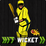 Hit Wicket Cricket 2017 - Australian League Game Apk