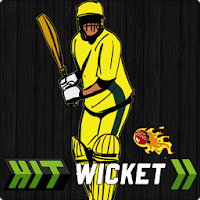 Hit Wicket Cricket 2017 - Australian League Game