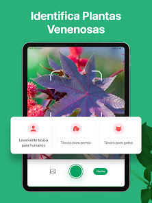 Captura de pantalla
