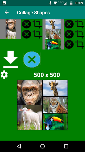 Collage Screen 2