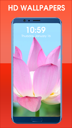 Lotus Flower Wallpaper HD Free