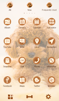 Toy Poodle Puppy Theme