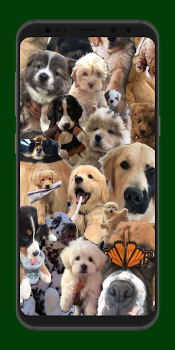 puppy wallpaper Screen 3