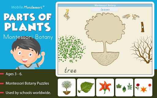 Android application Montessori Botany - Parts of P screenshort