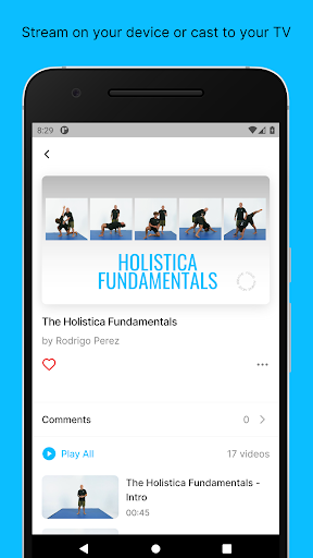 Holistica Academy Screen 3