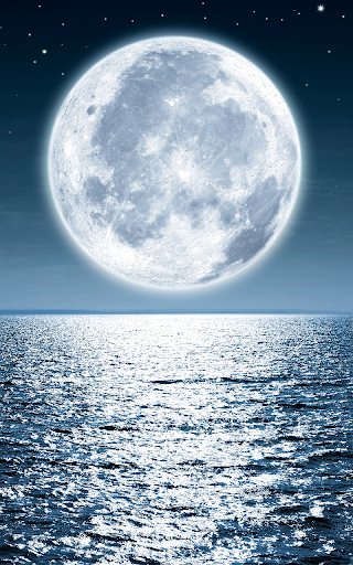 Android application Beautiful Wallpapers screenshort