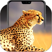 Top 12 Entertainment Apps Like Cheetah Wallpapers - Best Alternatives
