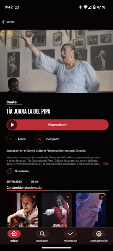 Flamenco Auditorio Screen 3