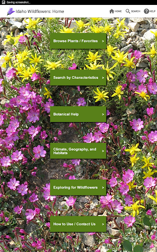 Screenshot of Idaho Wildflowers
