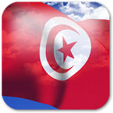 3D Tunisia Flag icon