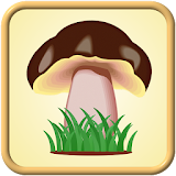 ЭнциклоРедия грибов icon