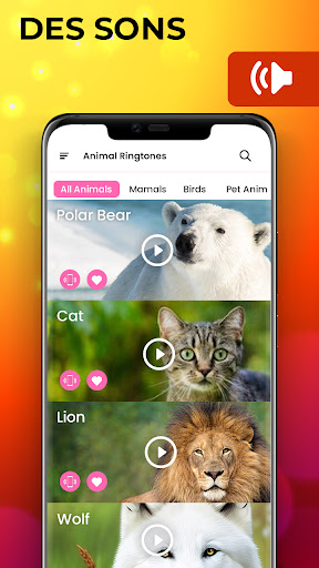 Aperçu de l'application