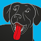 BringFido - Pet Friendly Hotels विंडोज़ पर डाउनलोड करें