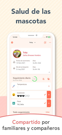Vista previa de la aplicación