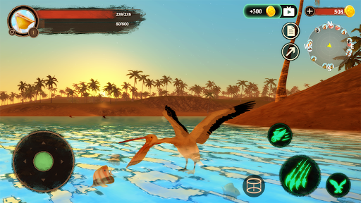 The Pelican Screen 3