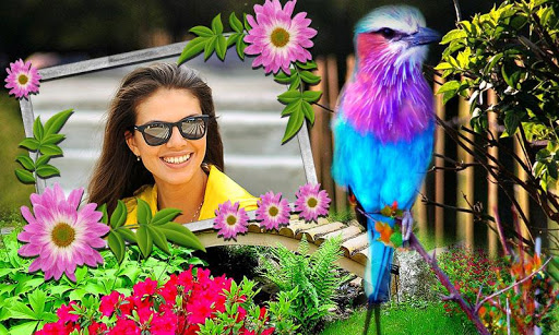 Birds Photo Frames HD Screen 3