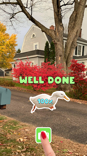 Running Goose Screen 2