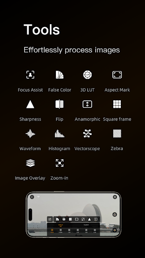 HollyView Screen 3
