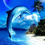 Cover Image of Descargar Dolphin HD Wallpapers 1.0 APK
