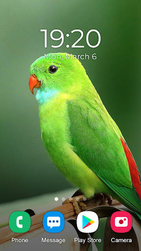 Parrot Wallpaper 2024 Screen 3