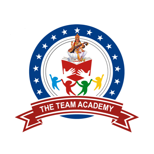 The Team Academy logo