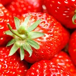 Cover Image of Tải xuống Strawberry Wallpapers  APK