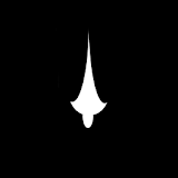 Bat Compass icon