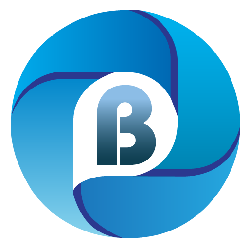 بريكول - BriCool logo