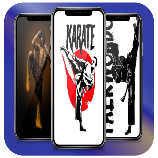 Martial Arts Wallpaper HD logo