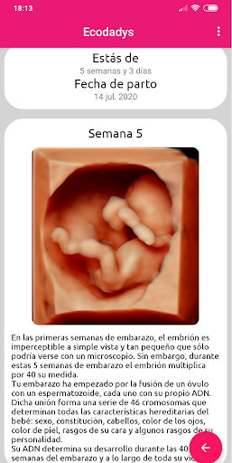 eCodadys Screen 3