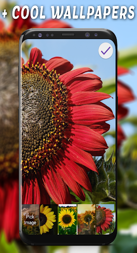 Sunflower Passcode Lock Screen Screen 3