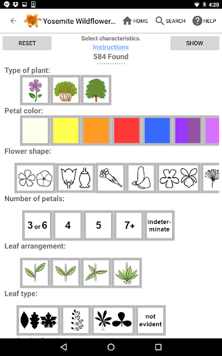 Screenshot of Yosemite Wildflowers
