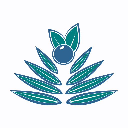 Palm Berries logo