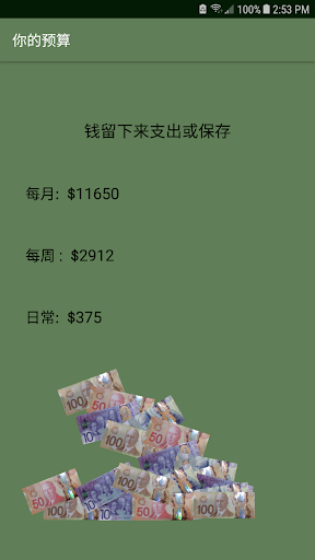 你的预算 Screen 3