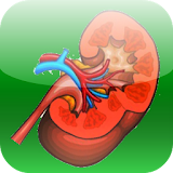 Kidney stone remedies icon