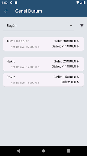 Gelir Finans Screen 2