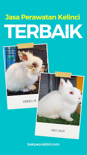 Bakpao Rabbit - Toko Kelinci Screen 3