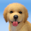 My Dog - Puppy Game Pet Simulator