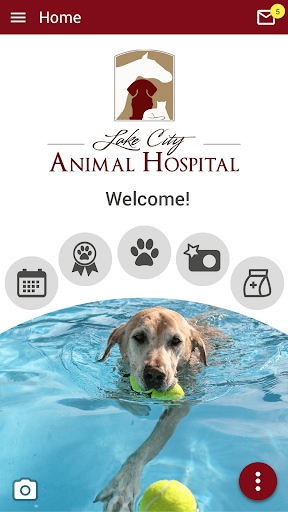Android application Lake City Animal Hospital FL screenshort