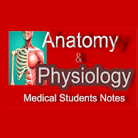 Anatomy and Physiology Notes