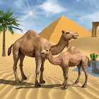 Игра симулатор на камила 4.8