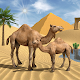 Игра симулатор на камила