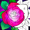 Rapid Colouring Games - Game 1