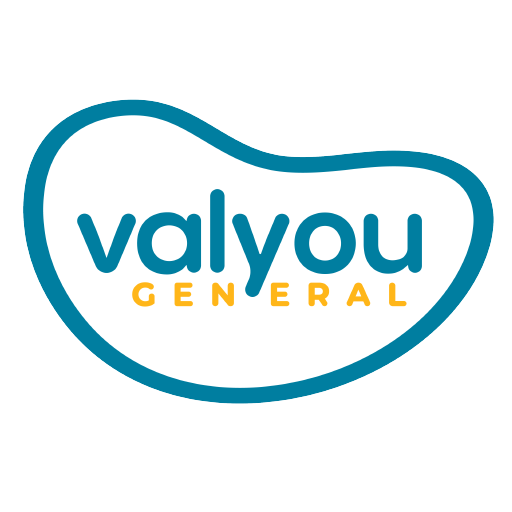 Valyou General logo